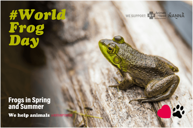 World Frog Day