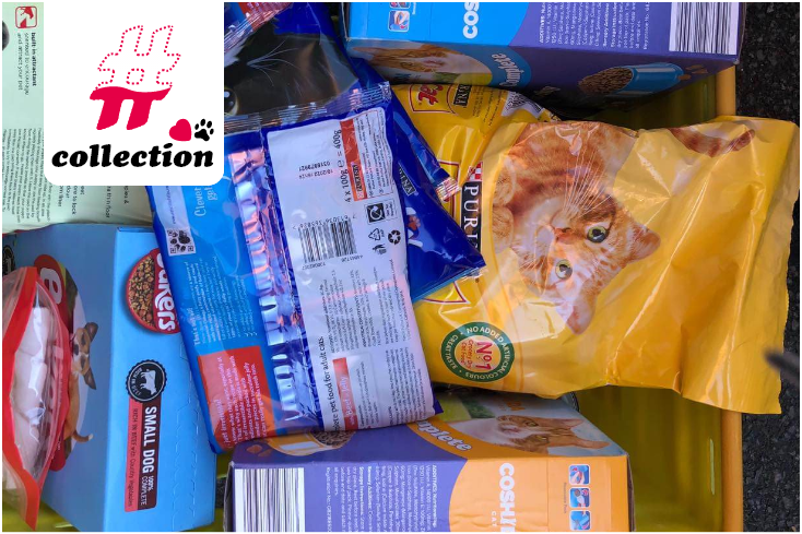 NEWS Collection – 1.png