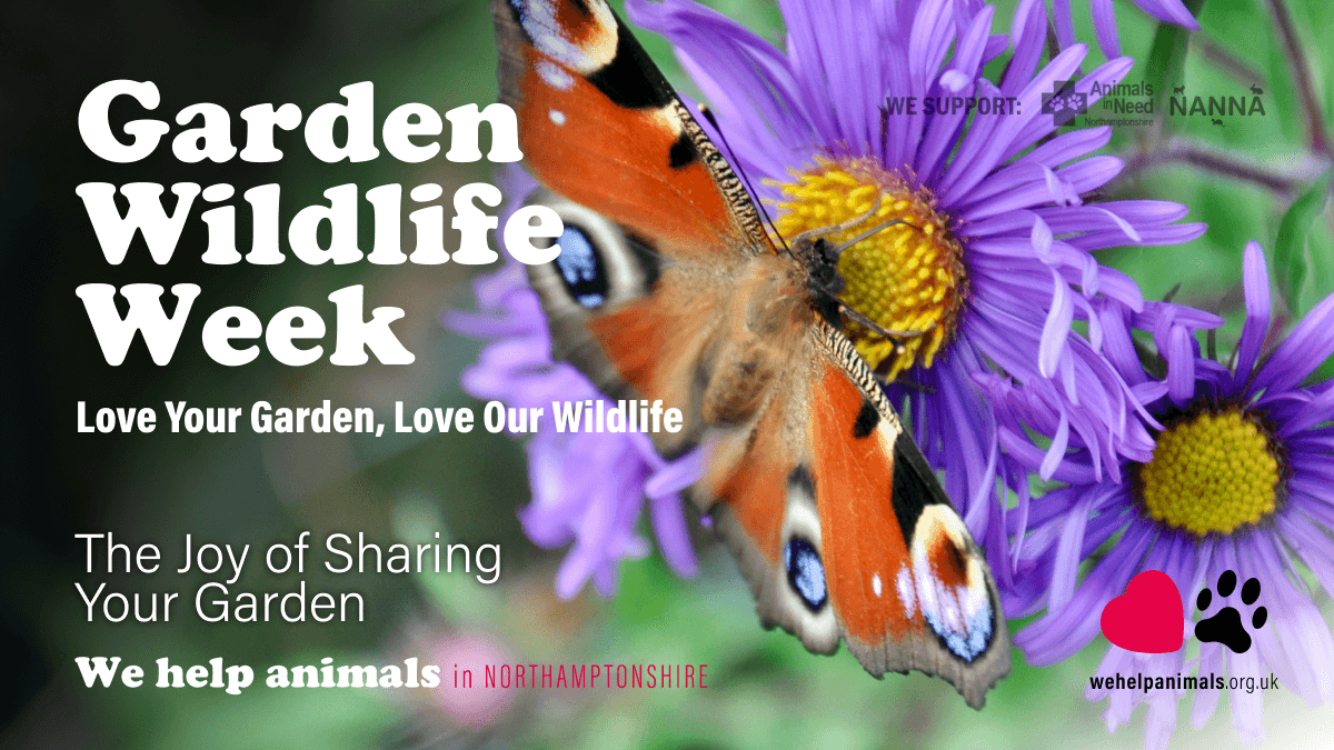 Garden Wildlife Week