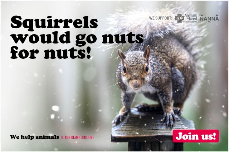 We help animals in NORTHAMPTONSHIRE