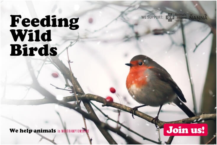 We help animals in NORTHAMPTONSHIRE