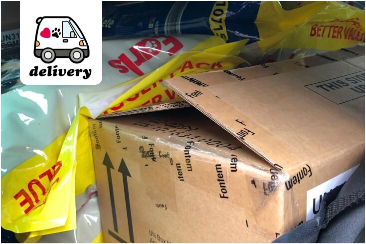 NEWS Delivery – 4.jpg