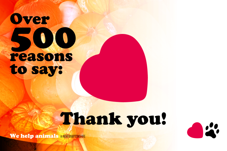 Over 500 reasons to say 'Thank you' :: We help animals