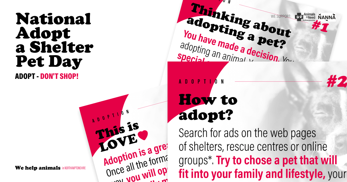We help animals in NORTHAMPTONSHIRE