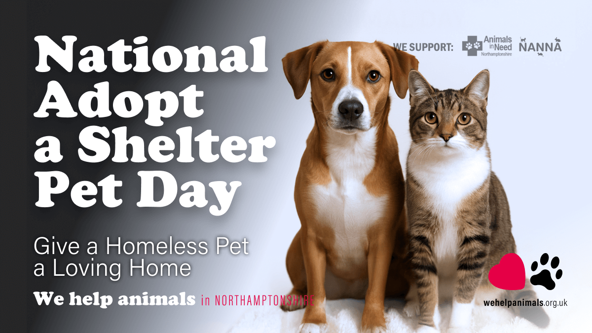National Adopt a Shelter Pet Day