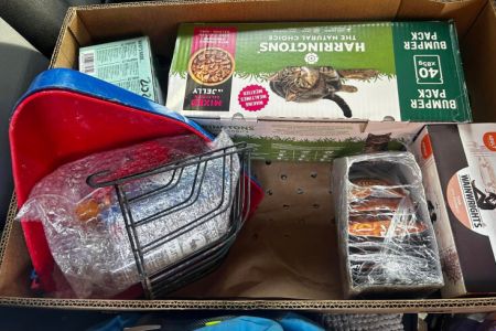HUGE Cat food collection
