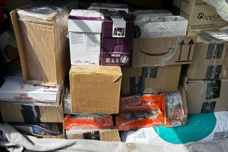 HUGE Cat food collection
