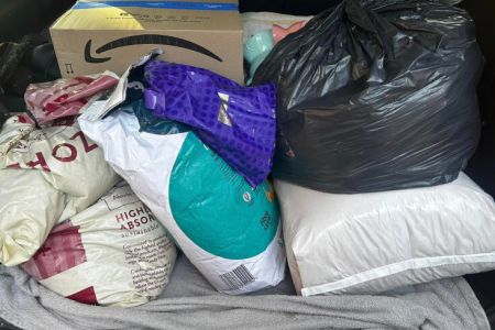 HUGE Cat food collection