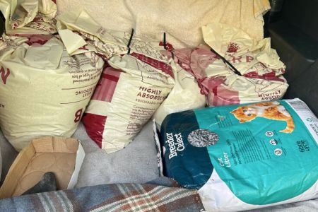 HUGE Cat food collection