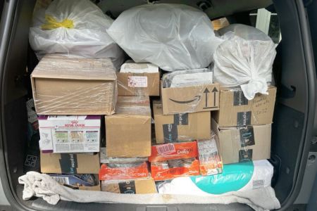 HUGE Cat food collection