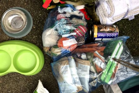 iFORCE (Corby) helps us collect for NANNA