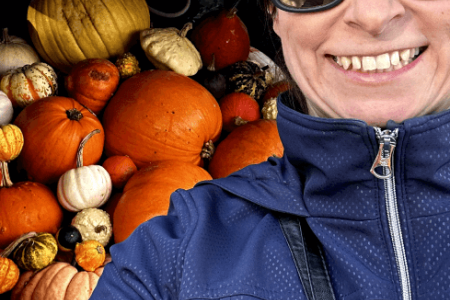 Pumpkin Collection 2023