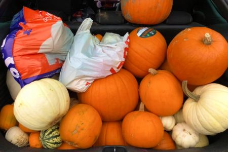 Pumpkin Collection 2021
