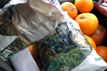 Pumpkin Collection 2021
