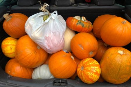 Pumpkin Collection 2021
