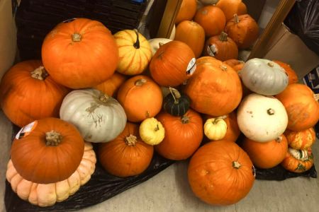 Pumpkin Collection 2021
