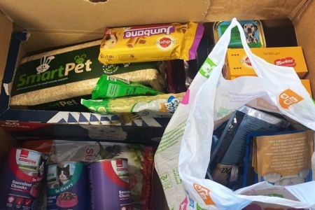 GXO is helping us help animals in rescues!