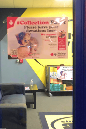Simply Gym Kettering - collection _ We Help Animals-6.png